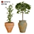 Rustic Boho Plant Collection 3D model small image 7