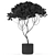 501 Plant Collection: Botanical Beauties 3D model small image 3