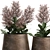 Metallic Plant Collection: Exotic & Tropical Skimmia 3D model small image 2