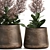 Metallic Plant Collection: Exotic & Tropical Skimmia 3D model small image 3