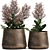 Metallic Plant Collection: Exotic & Tropical Skimmia 3D model small image 6