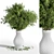 Green Branch Plants in Vase 3D model small image 5