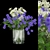 Volume 185 Plant Collection: Stunning 3D Models 3D model small image 1