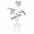 Lush Greenery: Philodendron Xanadu 3D model small image 4