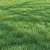 Lush Green Grass for Landscaping 3D model small image 2