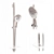 GROHE Rainshower SmartActive 150 Shower Set 3D model small image 2