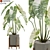 Botanical Oasis Collection 3D model small image 1