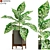 Greenery Wonderland: Plants Collection 3D model small image 1