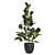 Green Oasis Indoor Plant Set 3D model small image 2
