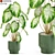 Exquisite Flora: Plants Collection 3D model small image 1