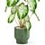 Exquisite Flora: Plants Collection 3D model small image 2