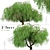 Lush Weeping Willow Trees (Set of 2) 3D model small image 1