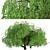 Lush Weeping Willow Trees (Set of 2) 3D model small image 2