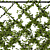 Lush Ivy Plant Set: 3Dmax Models 3D model small image 3