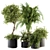 Green Oasis Indoor Plant Set 3D model small image 1