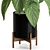 Lush Greenery Assortment 535 3D model small image 2