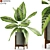 Exquisite Botanical Collection 536 3D model small image 1