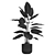 Exquisite Plants Collection 537 3D model small image 4