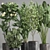 Exotic Plant Collection: Decorative Plants for Indoor and Outdoor with Concrete Vase 3D model small image 5