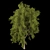Premium Plant Collection: Volume 219 3D model small image 2