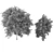 Premium Plant Collection: Volume 219 3D model small image 4