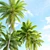 Tropical Majesty: Coconut Palm Trio 3D model small image 5