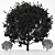 Seasonal Tree Collection: 3 Variations 3D model small image 3