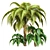 Tropical Palm Tree Decor 3D model small image 1