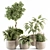 Vibrant Indoor Plant Set 3D model small image 1