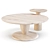 Coastal-Inspired Winona Coffee & Side Table Set 3D model small image 1