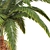 Exquisite Palm Tree Model 3D model small image 2