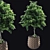 Lush Greens: Plants Set 2014 3D model small image 1