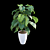 Tropical Archive: Philodendron Subincisum 3D model small image 2