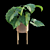 Tropical Archive: Philodendron Subincisum 3D model small image 4