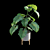 Tropical Archive: Philodendron Subincisum 3D model small image 5