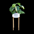 Tropical Archive: Philodendron Subincisum 3D model small image 6