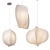 Nature-inspired Pendant Light 3D model small image 3