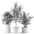 Botanical Bliss: 550 Plant Collection 3D model small image 4