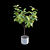 Ficus benghalensis 3D Model Set 3D model small image 6