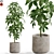 Lush Greenery Set 3D model small image 3