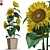 Lush Green Plant Collection 3D model small image 1
