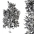 Siberian Sunrise Red Pine Tree 3D model small image 5