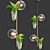 Modern Pendant Lamp with Hanging Plants 3D model small image 3