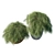 Glauca Pot: Elegant Casuarina Tree 3D model small image 2