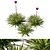 Gymea Lily Miniature Model 2013 3D model small image 1