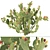 Prickly Pear Cactus: Lifelike 3D Models 3D model small image 6