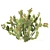 Prickly Pear Cactus: Lifelike 3D Models 3D model small image 10