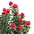 Waratah Telepea 2013: Stunning Floral Sculpture 3D model small image 4