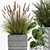 Tropical Plant Collection 3D model small image 2