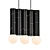 Birch Pendant Lamp: Elegant Illumination 3D model small image 1